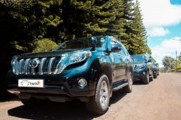 
										TOYOTA PRADO full									